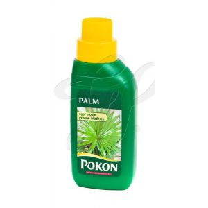 Pokon Palm Voeding 250ml
