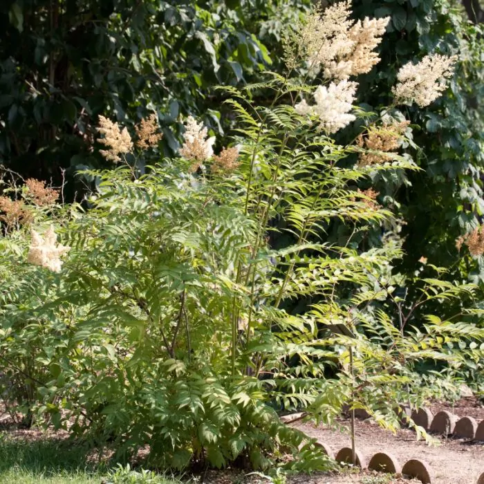 Yalangoch qora tanli ayollarning qulligi Kiev ayol bilan jinsiy aloqa video